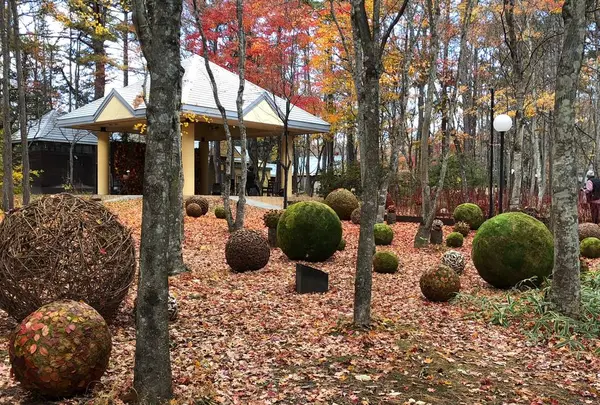 軽井沢高原教会の写真・動画_image_455044