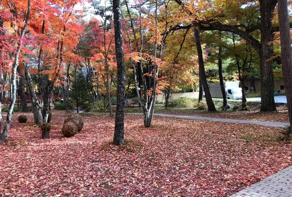 軽井沢高原教会の写真・動画_image_455045