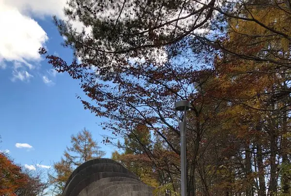 石の教会 内村鑑三記念堂の写真・動画_image_455053