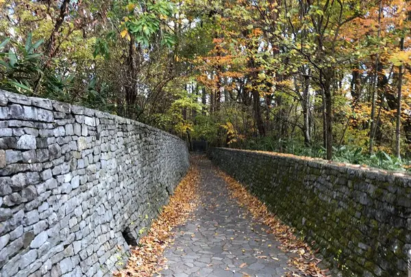 石の教会 内村鑑三記念堂の写真・動画_image_455055