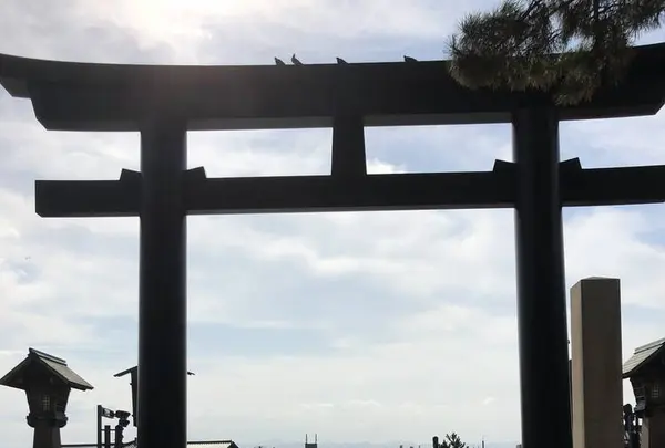 出雲大社の写真・動画_image_455316