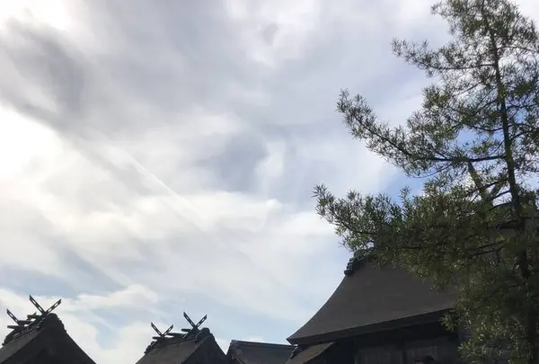 出雲大社の写真・動画_image_455317