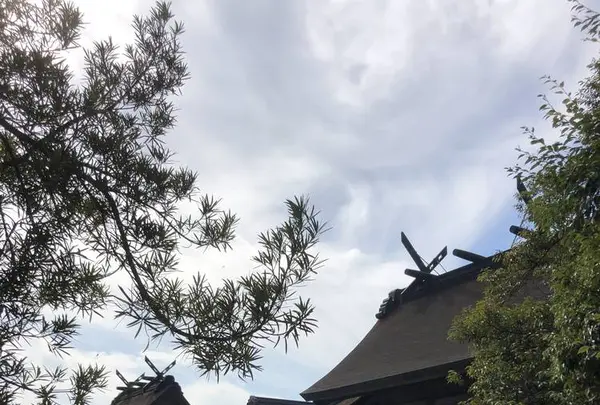 出雲大社の写真・動画_image_455318