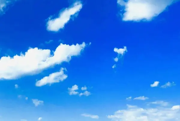 角島の写真・動画_image_455486