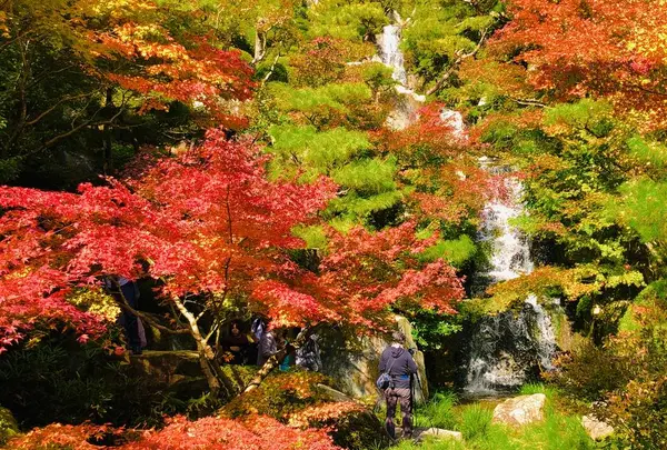 三景園の写真・動画_image_455512