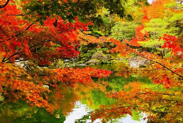由志園の写真・動画_image_455527
