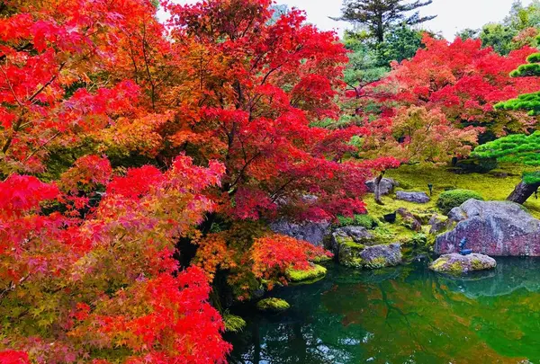 由志園の写真・動画_image_455529