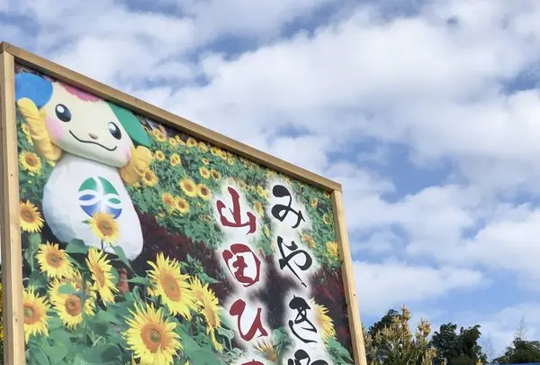 山田ひまわり園の写真・動画_image_456059