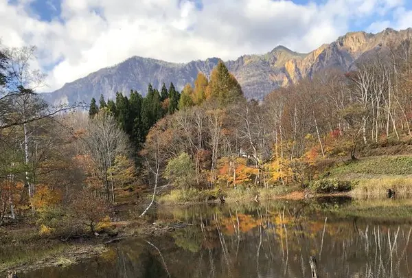 秋山郷の写真・動画_image_456198