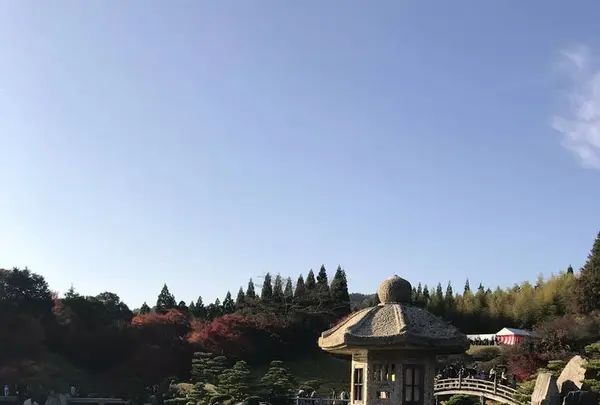 三景園の写真・動画_image_456392