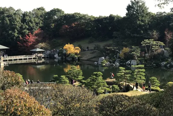 三景園の写真・動画_image_456396