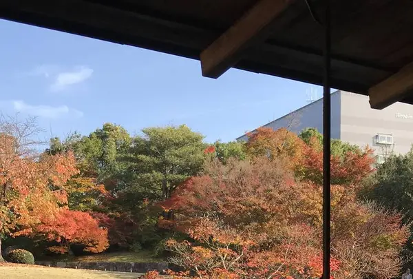 三景園の写真・動画_image_456397