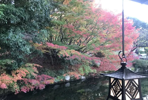 三景園の写真・動画_image_456405