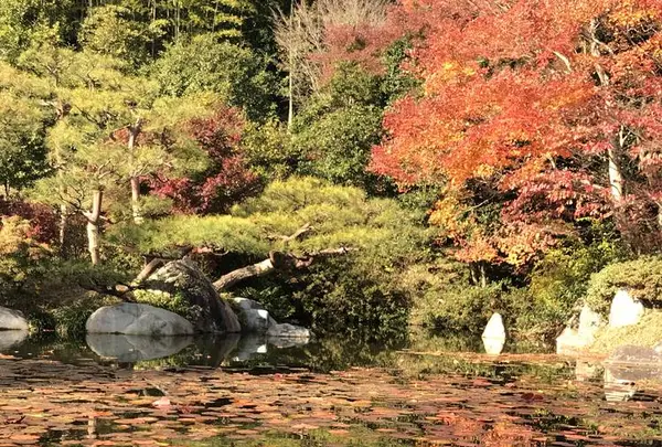 三景園の写真・動画_image_456408