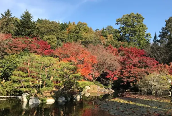 三景園の写真・動画_image_456409