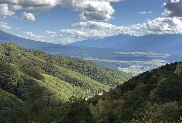 ビーナスラインの写真・動画_image_456856