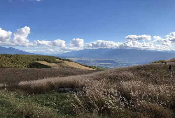 ビーナスラインの写真・動画_image_456859