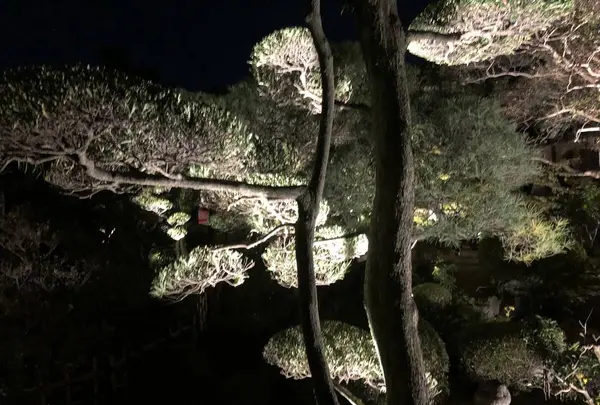 円覚寺（臨済宗）の写真・動画_image_456999