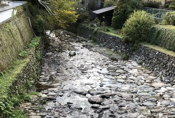 廣久葛本舗の写真・動画_image_457008