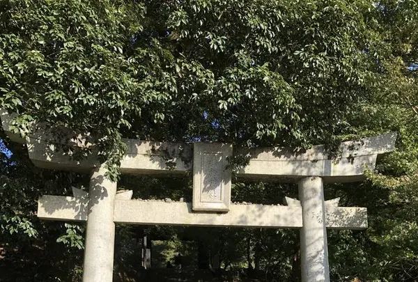 廣久葛本舗の写真・動画_image_457009