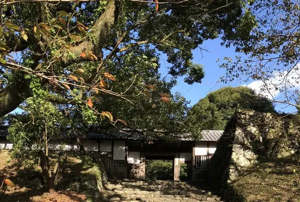 廣久葛本舗の写真・動画_image_457011