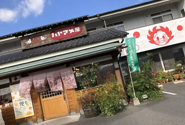 ハトマメ屋 株式会社の写真・動画_image_457014