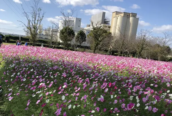 キリンビアファーム KIRIN BEER FARM BEER RESTAURANTの写真・動画_image_457017