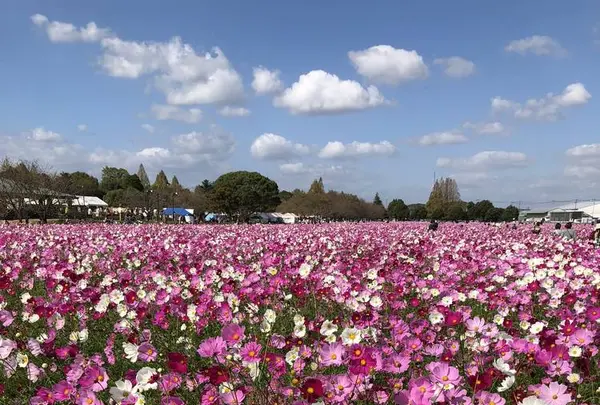 キリンビアファーム KIRIN BEER FARM BEER RESTAURANTの写真・動画_image_457019