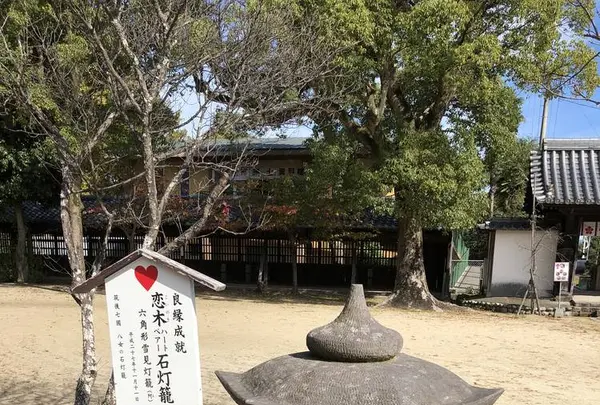 水田天満宮（恋木神社）の写真・動画_image_457044