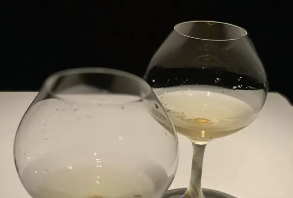 ツバキの写真・動画_image_457092