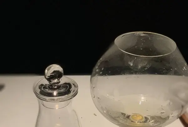 ツバキの写真・動画_image_457093