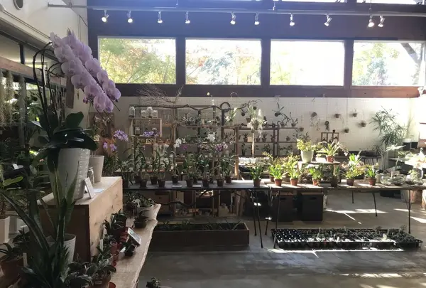 食卓manoの写真・動画_image_457974