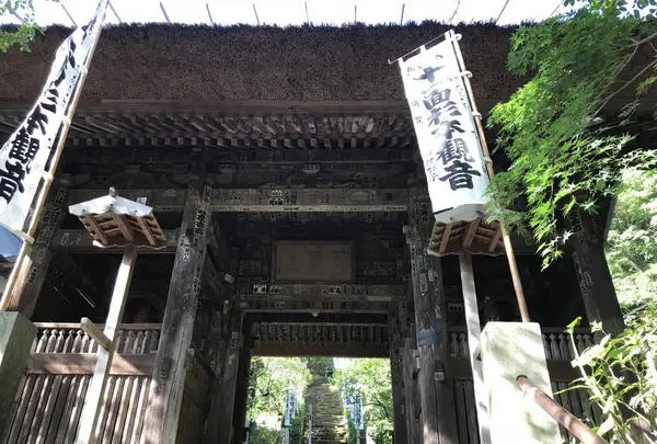 杉本寺の写真・動画_image_459466
