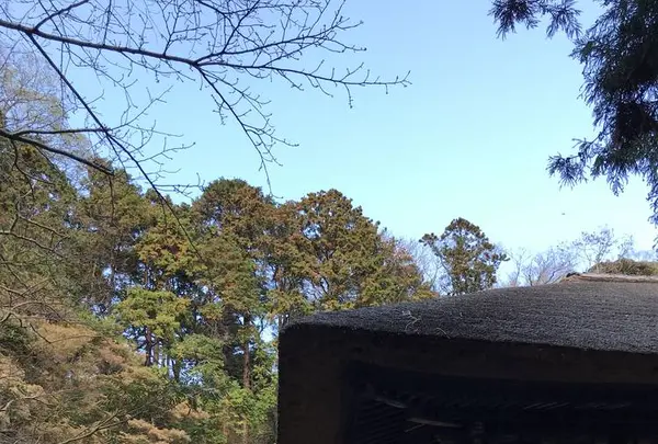 杉本寺の写真・動画_image_459467