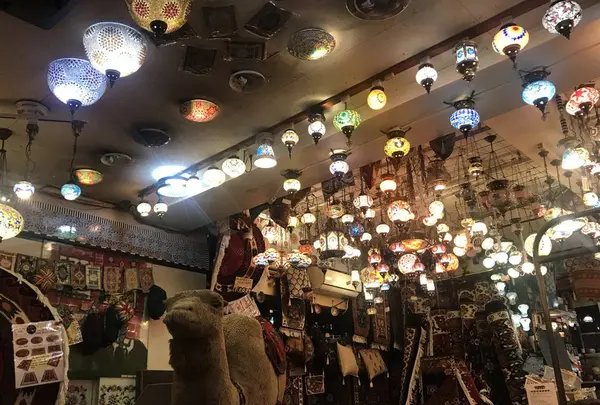 ザクロレストランの写真・動画_image_459935