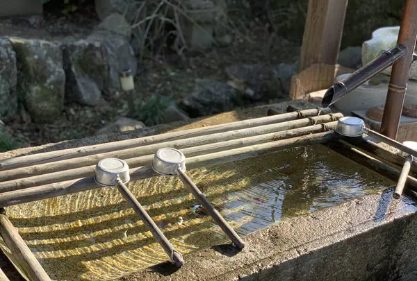 陶山神社の写真・動画_image_460093