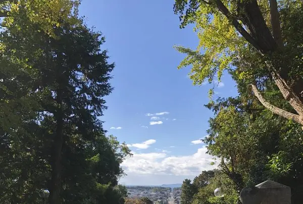 宮地嶽神社の写真・動画_image_460270