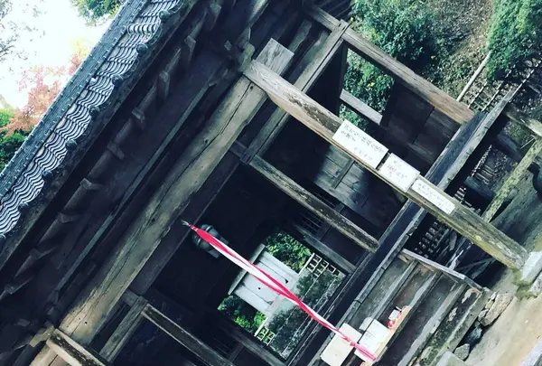 大興善寺の写真・動画_image_460273