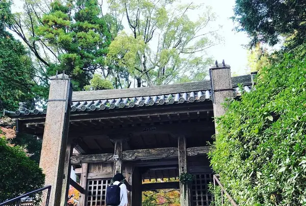 大興善寺の写真・動画_image_460274
