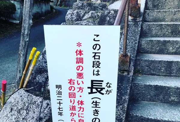 大興善寺の写真・動画_image_460276