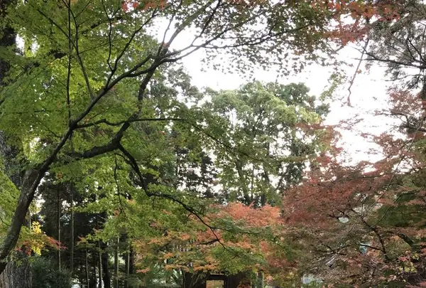大興善寺の写真・動画_image_460277