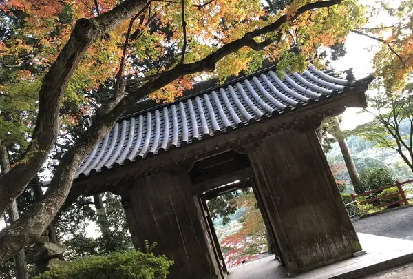 大興善寺の写真・動画_image_460280