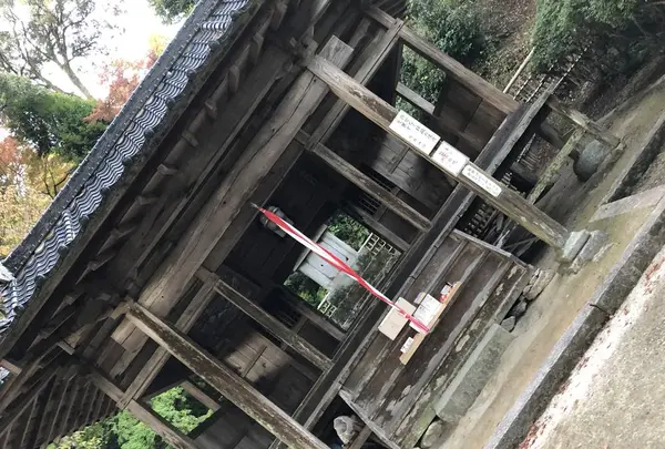 大興善寺の写真・動画_image_460281
