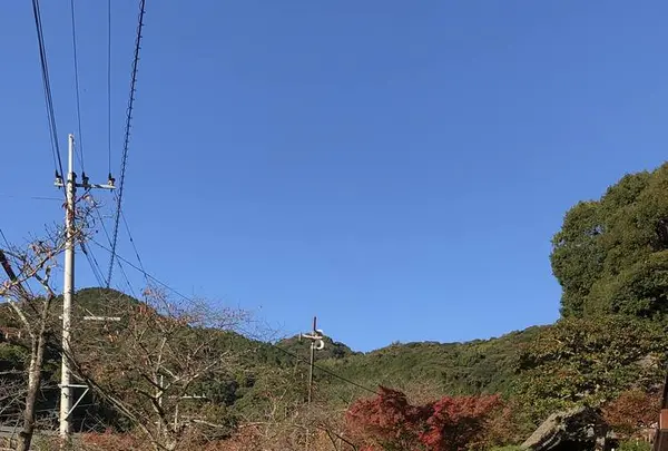 九年庵の写真・動画_image_460376