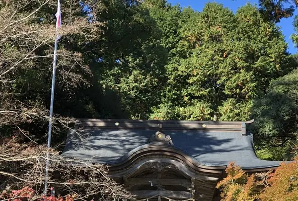 九年庵の写真・動画_image_460377