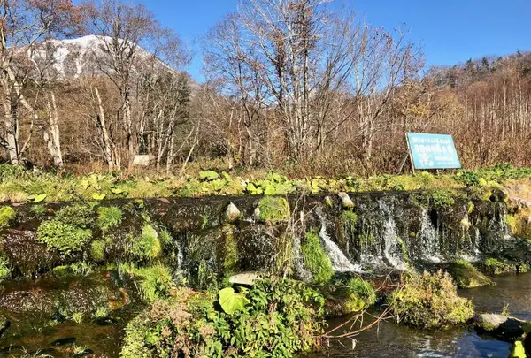 羊蹄山の湧き水
