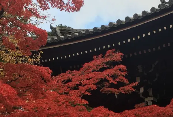 真如堂（真正極楽寺）の写真・動画_image_462348