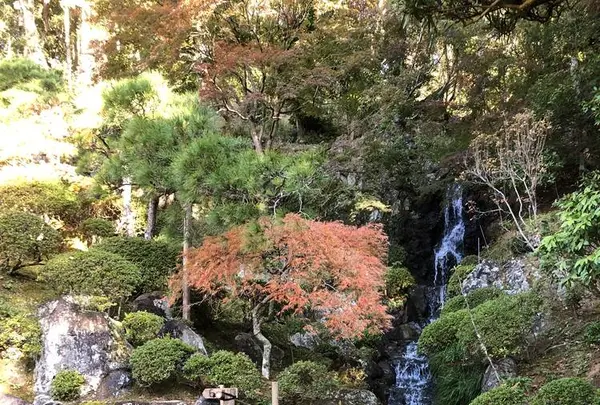 修善寺の写真・動画_image_462844
