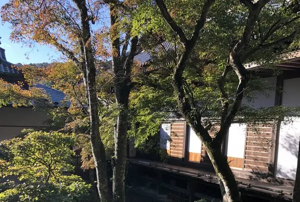 修善寺の写真・動画_image_462847