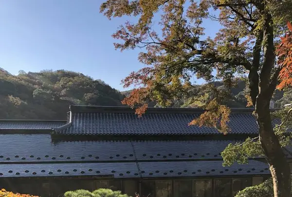修善寺の写真・動画_image_462848